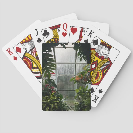 雨天時の温室内の植物 トランプ (裏面)