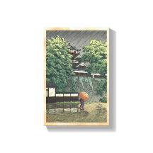 雨天熊本城鵜戸塔川瀬蓮井