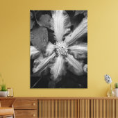 雨後のクレマティスの白黒の写真 キャンバスプリント (インサイチュ (リビング))