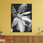 雨後のクレマティスの白黒の写真 キャンバスプリント (インサイチュ (リビング))