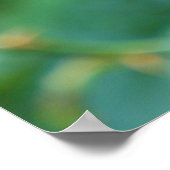 雨後のローズヒップブッシュ ポスター (角)