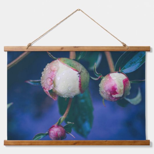 雨後の牡丹の花 吊り下げ型タペストリー (正面)