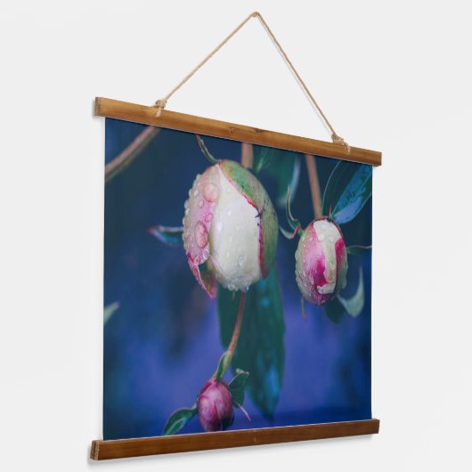 雨後の牡丹の花 吊り下げ型タペストリー (傾斜あり)