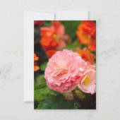 雨後の繊細なピンクの花 (正面)