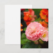 雨後の繊細なピンクの花 (正面/裏面)