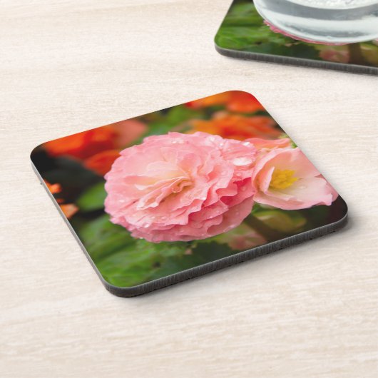 雨後の繊細なピンクの花 コースター (左側)