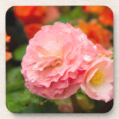 雨後の繊細なピンクの花 コースター (正面)
