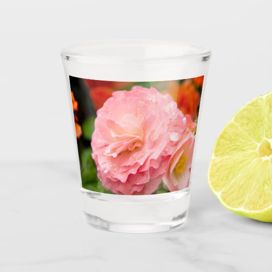 雨後の繊細なピンクの花 ショットグラス (正面)