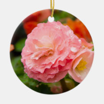 雨後の繊細なピンクの花