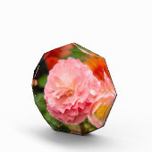 雨後の繊細なピンクの花 フォトブロック (右)