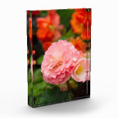 雨後の繊細なピンクの花 フォトブロック (左)