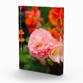 雨後の繊細なピンクの花 フォトブロック (右)