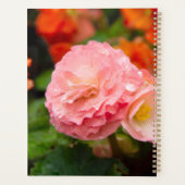 雨後の繊細なピンクの花 プランナー手帳 (裏面)