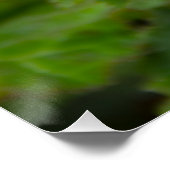 雨後の繊細なピンクの花 ポスター (コーナー)