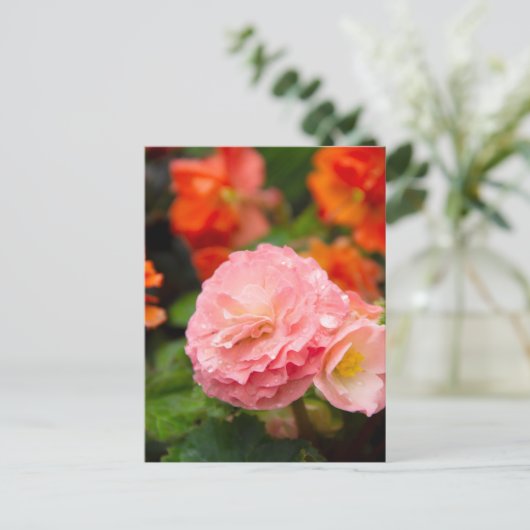 雨後の繊細なピンクの花 ポストカード (スタンド正面)