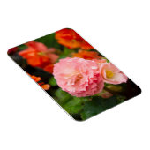 雨後の繊細なピンクの花 マグネット (右側)