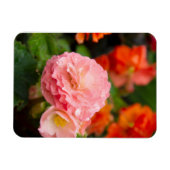 雨後の繊細なピンクの花 マグネット (横)