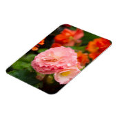 雨後の繊細なピンクの花 マグネット (左側)