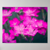雨後の野生のカーネーション ポスター (正面)
