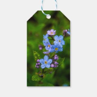 雨忘れの中 ギフトタグ