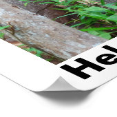 雨救林 ポスター (角)