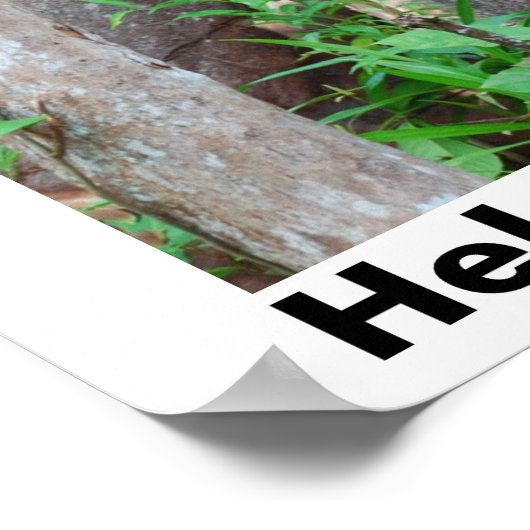 雨救林 ポスター (角)