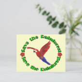 雨救林 ポストカード (スタンド正面)