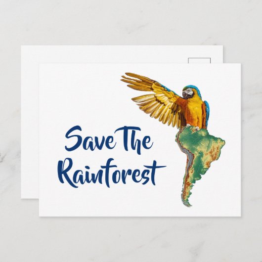 雨救林 ポストカード (正面/裏面)