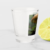 雨日の避難所：キノコの下で保護されたカエル ショットグラス (左)