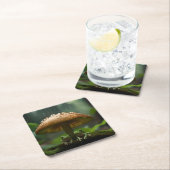 雨日の避難所：キノコの下で保護されたカエル スクエアペーパーコースター (インサイチュ)