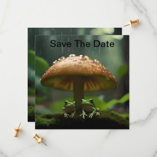 雨日の避難所：キノコの下で保護されたカエル セーブザデート (正面/裏面インサイチュ)