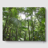 雨林の樹冠を通過する太陽の光　トロピカルグリーン ゲストブック (裏面)