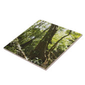 雨林の眺め、ドミニカ タイル (側面)