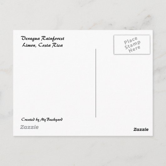 雨林及び滝の郵便はがき ポストカード (裏面)