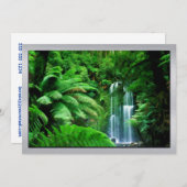 雨林及び滝 招待状 (正面/裏面)