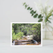 雨林景観を守れ ポストカード (スタンド正面)