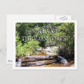 雨林景観を守れ ポストカード (正面/裏面)