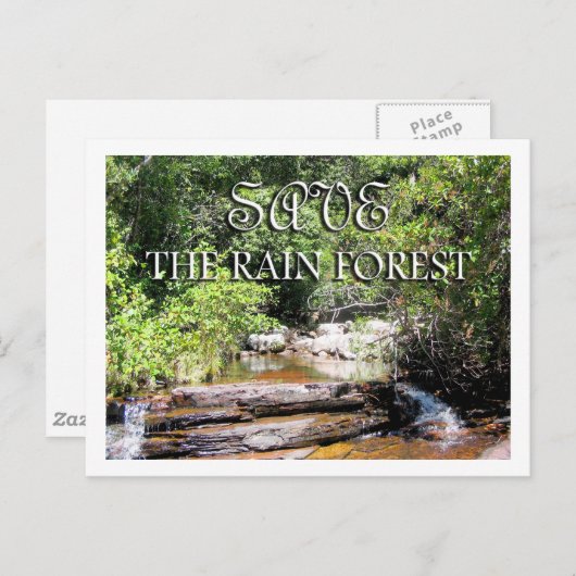 雨林景観を守れ ポストカード (正面/裏面)