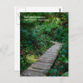 雨林遊歩道はがき ポストカード (正面/裏面)
