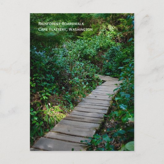 雨林遊歩道はがき ポストカード (正面)