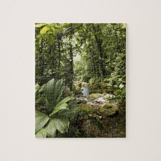 雨林、ドミニカの流れ ジグソーパズル (縦)