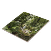 雨林、ドミニカの流れ タイル (側面)