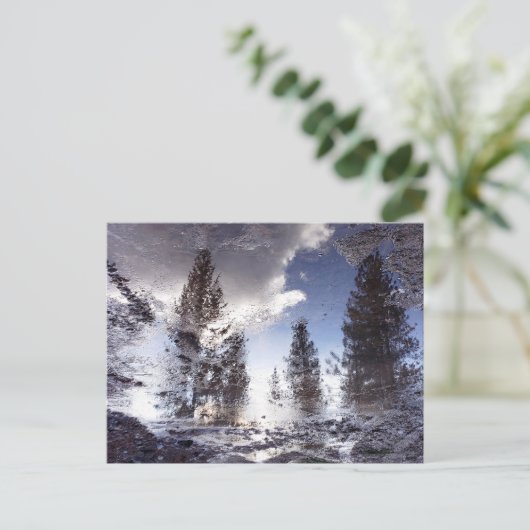 雨水に反射する木 ポストカード (スタンド正面)