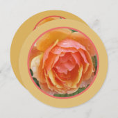雨水付き桃・黄・鮭の着色バラ サンキューカード (正面/裏面)