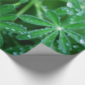 雨滴が付いている葉の緑の風車 ラッピングペーパー (角)