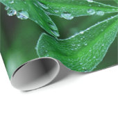 雨滴が付いている葉の緑の風車 ラッピングペーパー (ロールコーナー)