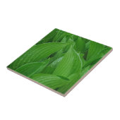 雨滴のタイルが付いているHostAの葉 タイル (側面)