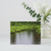 雨滴の夏2016年 ポストカード (スタンド正面)