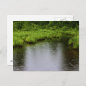 雨滴の夏2016年 ポストカード (正面/裏面)