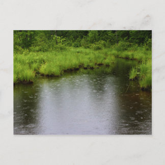 雨滴の夏2016年 ポストカード